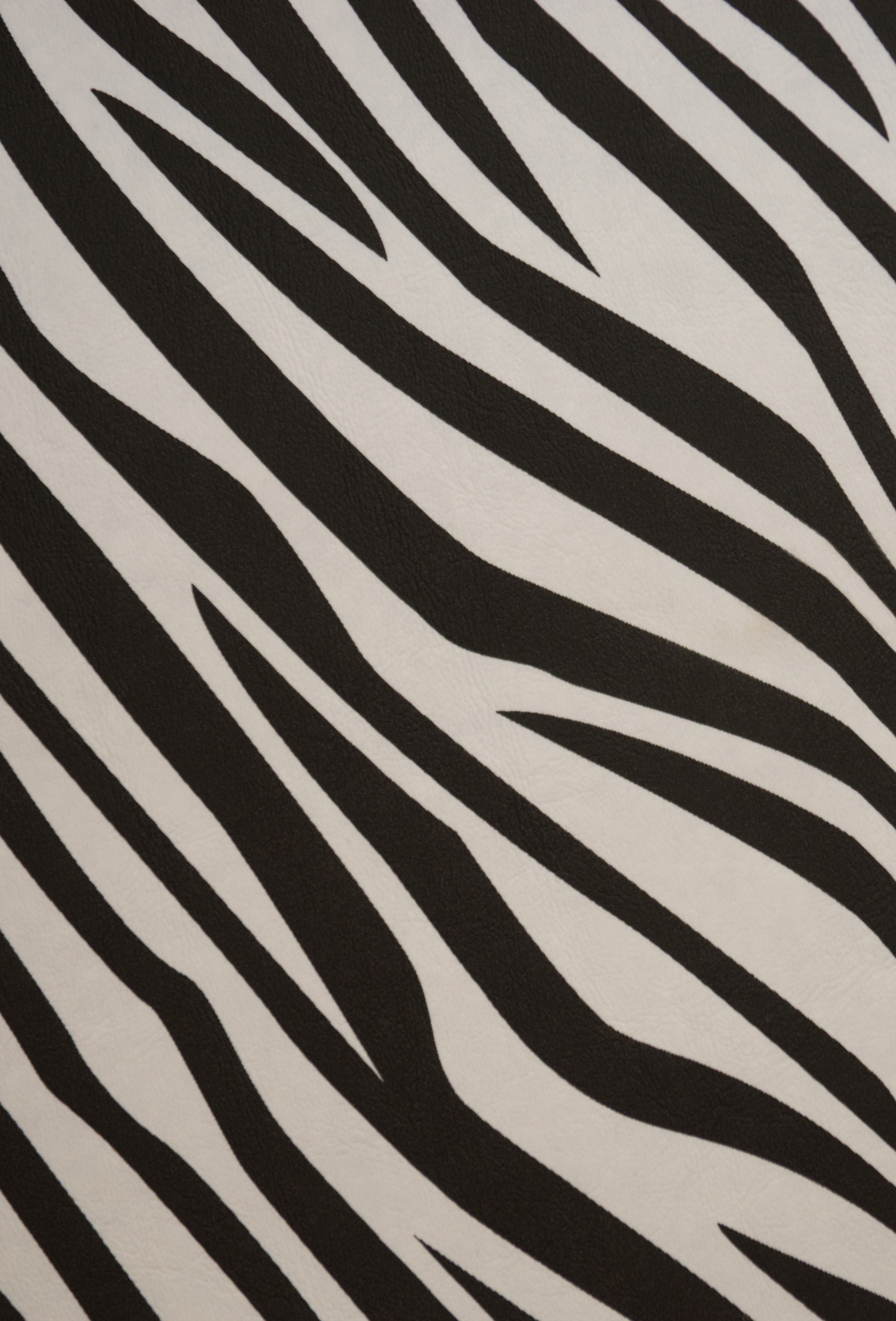 ZebraFuzzyback.jpg